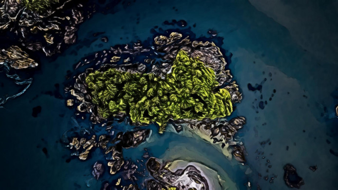 Bird's Eye View of Island