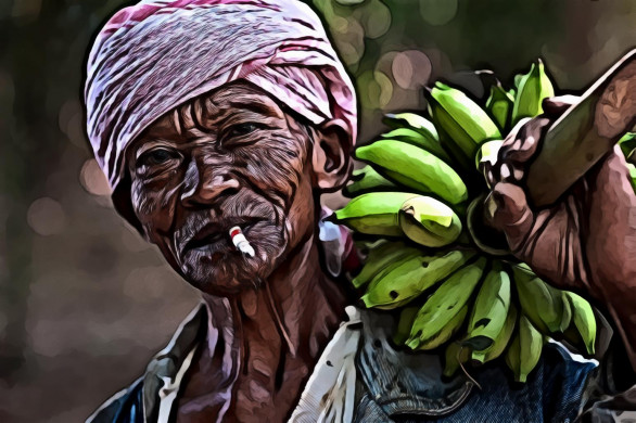 Man Wearing Blue Top Holding Bunch of Unripe Bananas