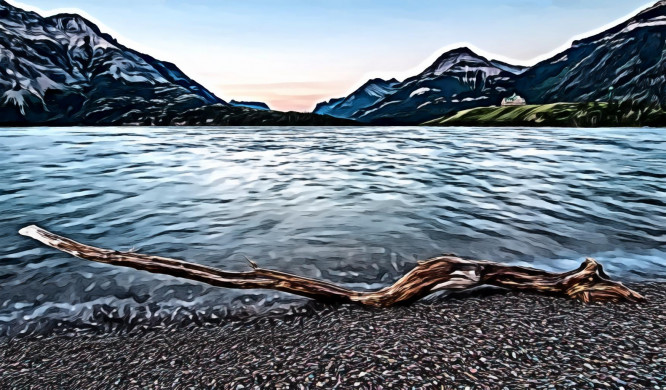 Photo of a Driftwood by the Seashore