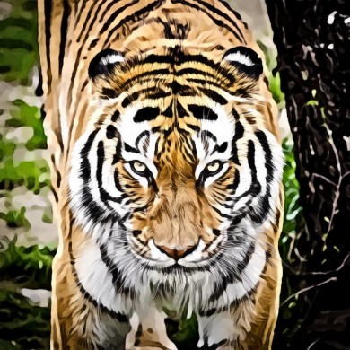 Tiger Beside Tree