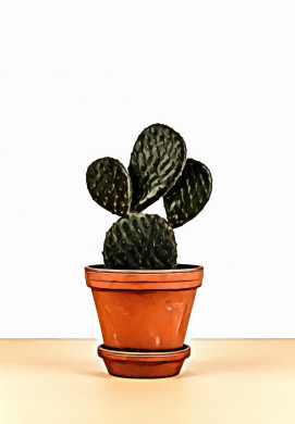 Cactus On Pot