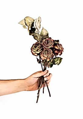 Person Holding Dried Roses