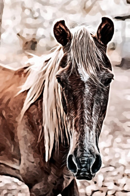 Close-up Portrait of Brown Horse