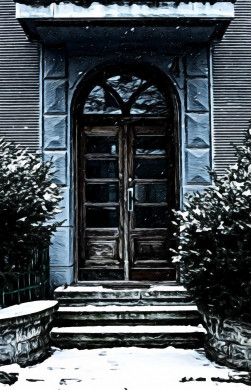 Closed Brown Wooden Door