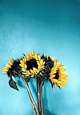 Four Sunflowers in Bloom on Teal Surface