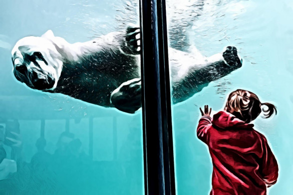 Girl Standing In Front Of Polar Bear