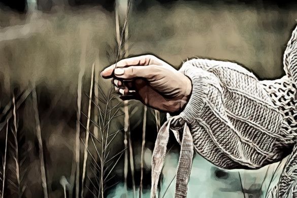 Person Holding Dried Plant