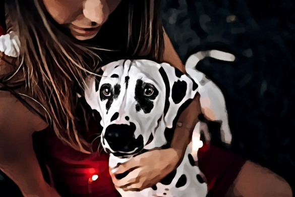 Selective Focus Portrait of Woman Holding Adult Dalmatian Dog