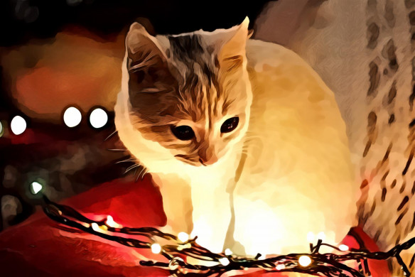 White Cat Besides Christmas Lights