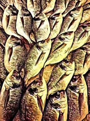 Pile of fish