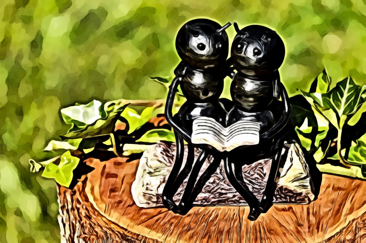 Couple Ants Holding Book Figurine