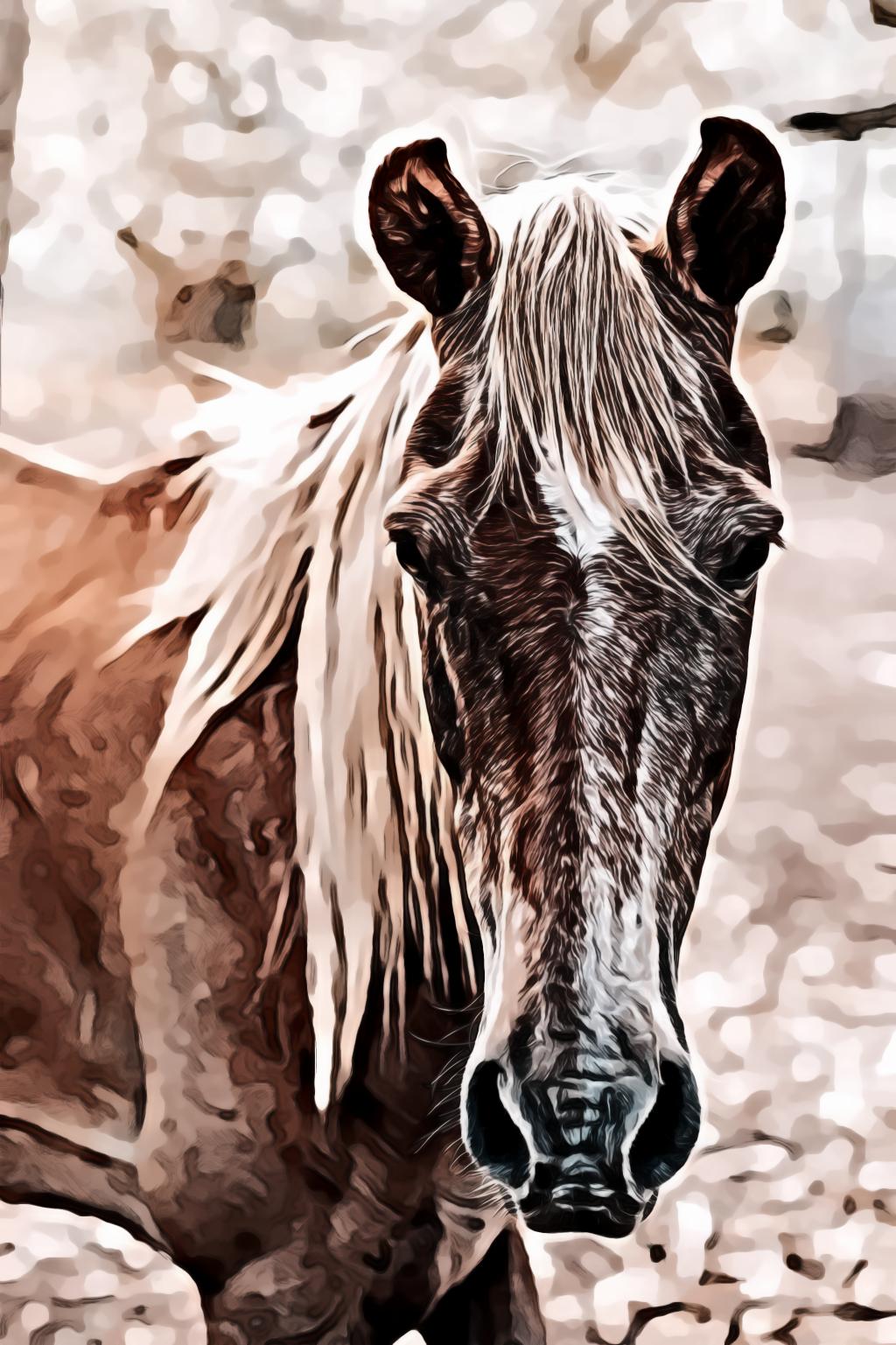 Close-up Portrait of Brown Horse