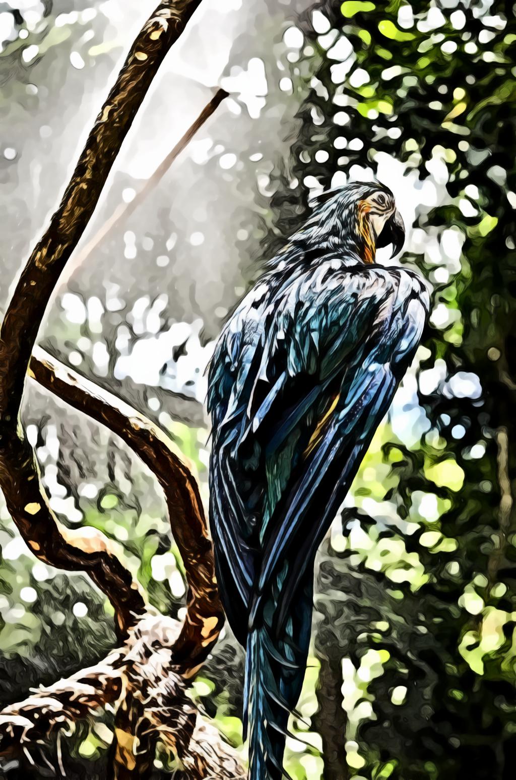 Blue Macaw Perched on Tree Twig