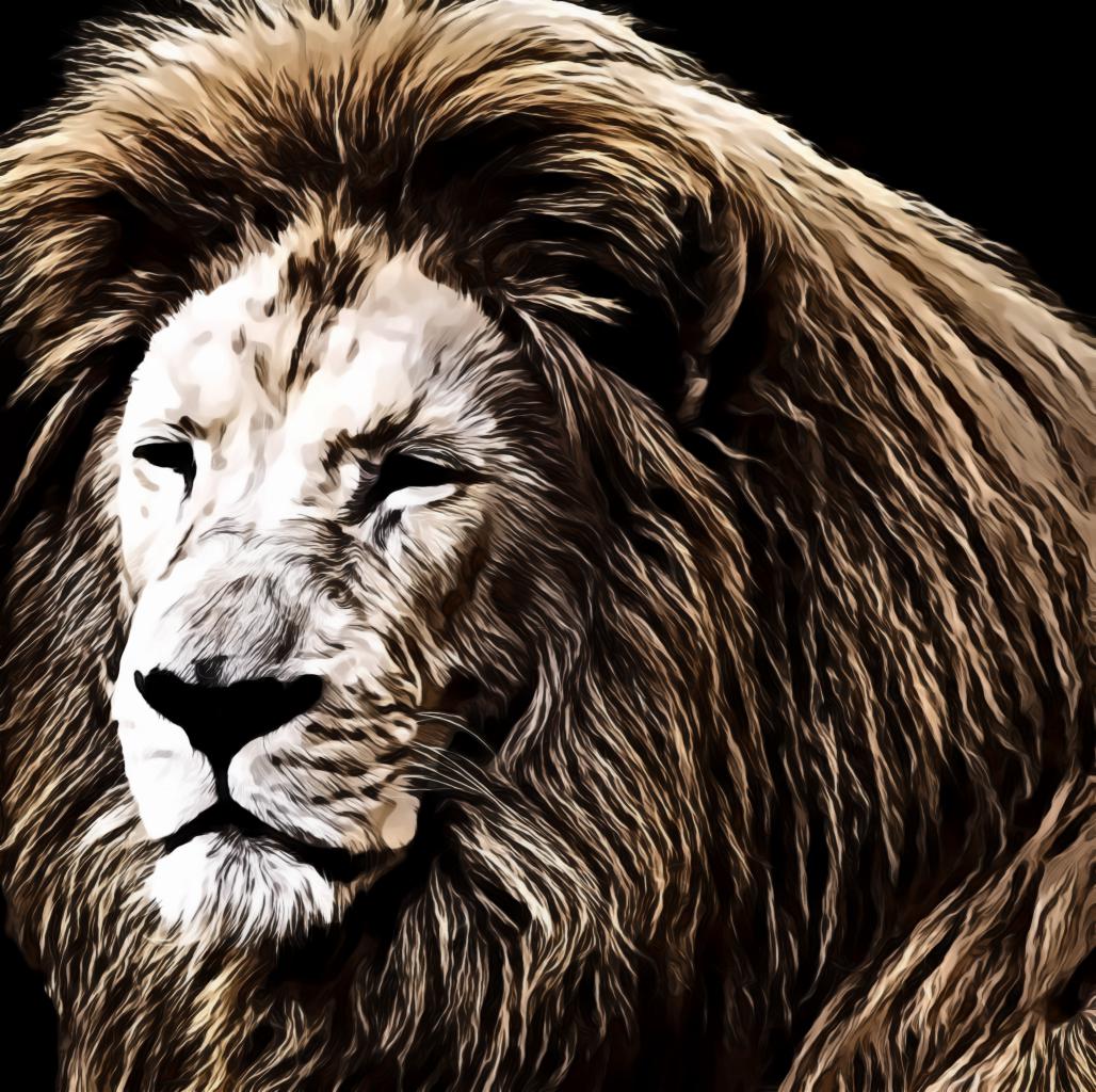 Lion Close-Up